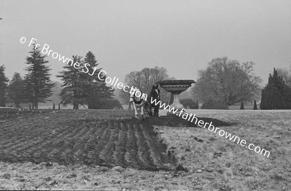 FIRST PLOUGHING OF GARDEN